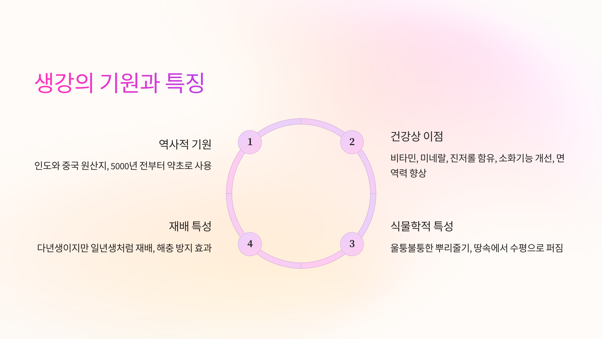 🌱 생강의 기원과 특징