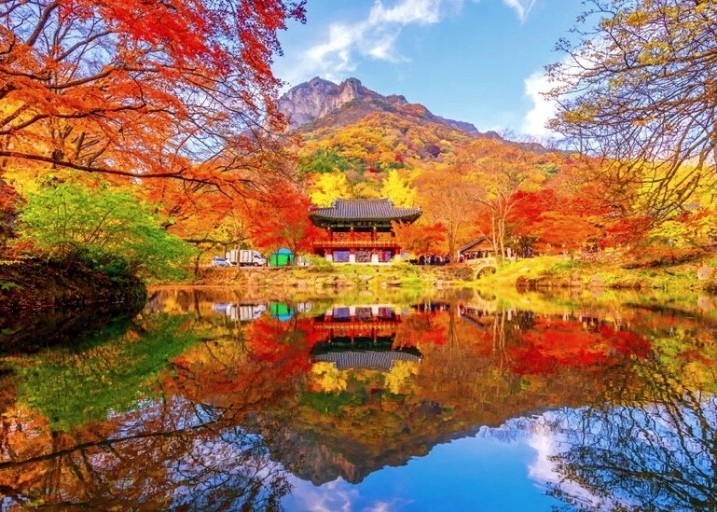 내장산