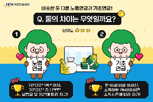 노령연금과 기초연금의 차이점