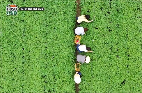 다시보기