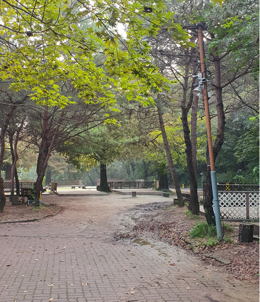 반달곰이살던숲