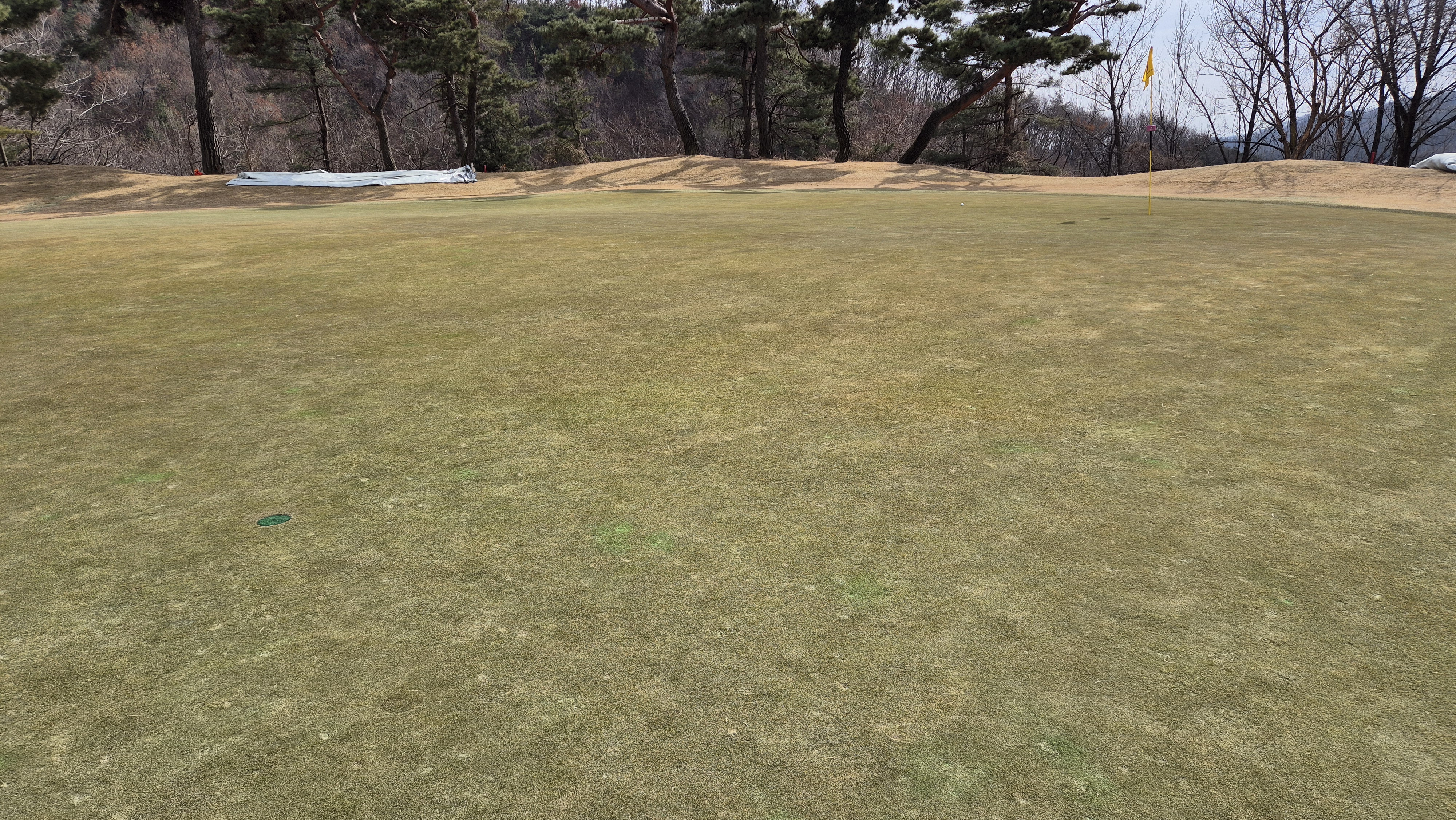 코리아cc 크리크-레이크 코스 그린 관리 상태