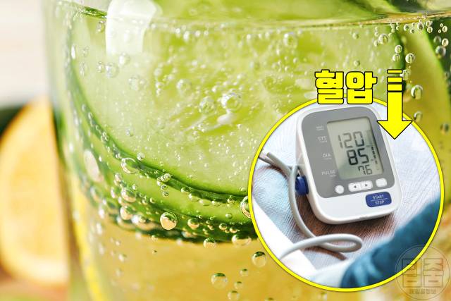 오이물 효능 오이물 혈압