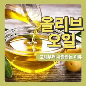 올리브오일 효능 먹는법 종류_4