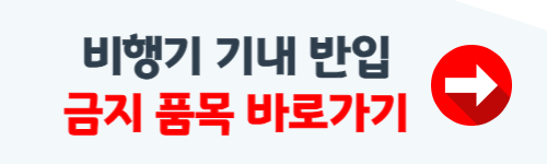 기내 반입 금지 물품 (국제선)