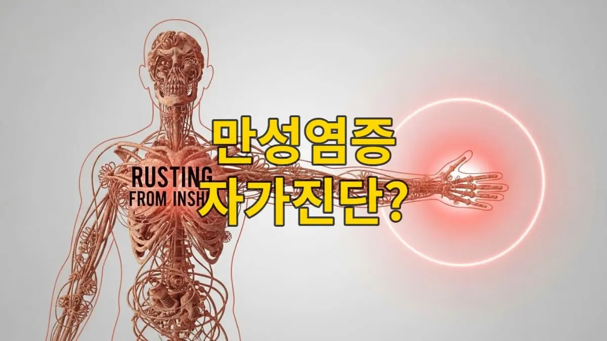 몸속에 녹이 슨 듯 내부 장기들이 부식되는 이미지를 통해 은밀한 만성염증의 위험성을 상징적으로 보여주는 사진