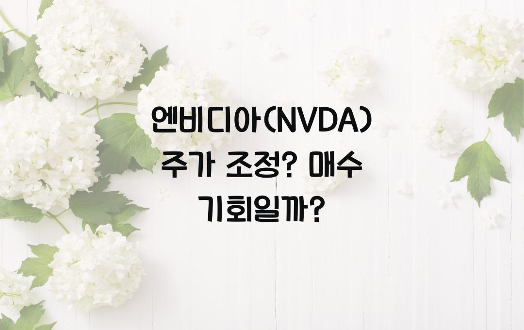엔비디아(NVDA) 주가 조정? 지금이 매수 기회일까?