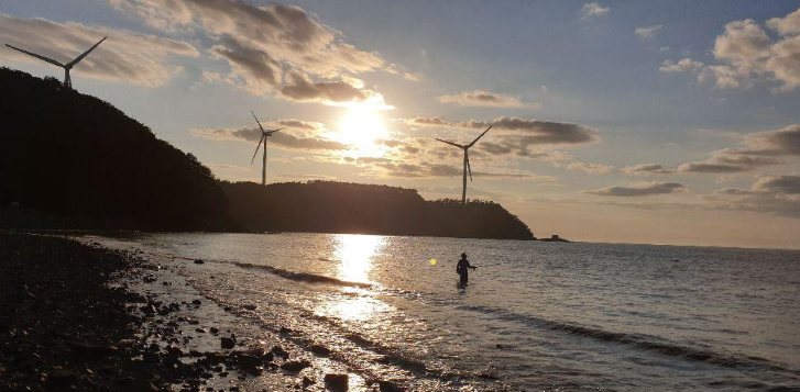 장경리해수욕장