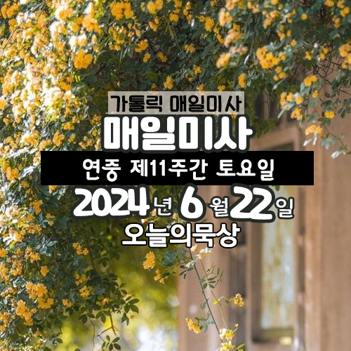 2024년 6월 22일 매일미사 연중 제11주간 토요일 오늘의 묵상