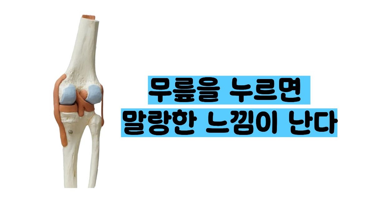 무릎에 물이 차는 증상