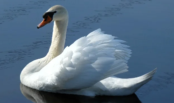 숙박 세일 페스타 완벽 정리 20