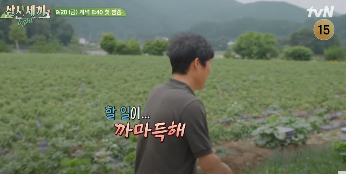 삼시세끼-어촌편-시즌-6-임영웅-방송시간-다시보기