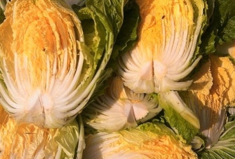 2025년 절임배추 사전예약 꿀팁!