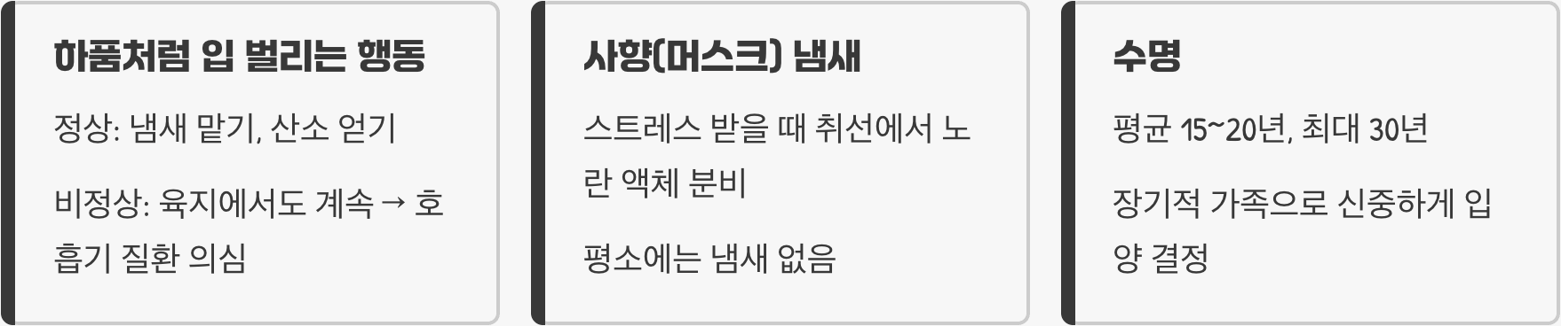 커먼머스크 키우기 A to Z (사육장, 먹이, 온도 관리)