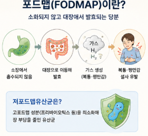 저포드맵유산균-효과-뜻-내돈내산-후기-락토핏-캡슐-설사