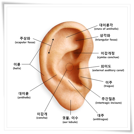 귀명칭