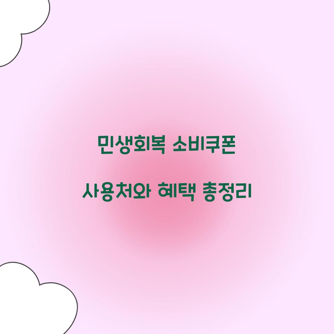 민생회복 소비쿠폰 사용처