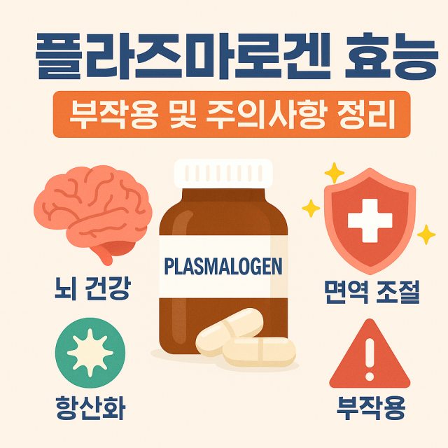 플라즈마로겐의 효능과 부작용, 주의사항을 정리한 대표 이미지로 뇌 건강, 항산화, 면역 조절 관련 내용을 강조한 그림