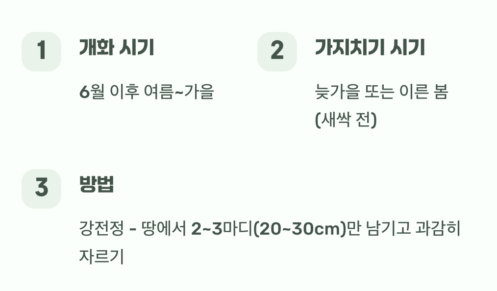 여름의 여왕&amp;#44; 올해 가지에서 피는 아이들