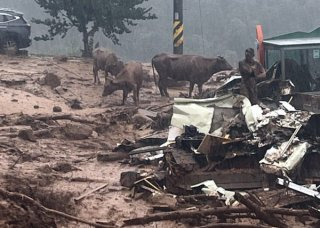 경남 국가소방동원령