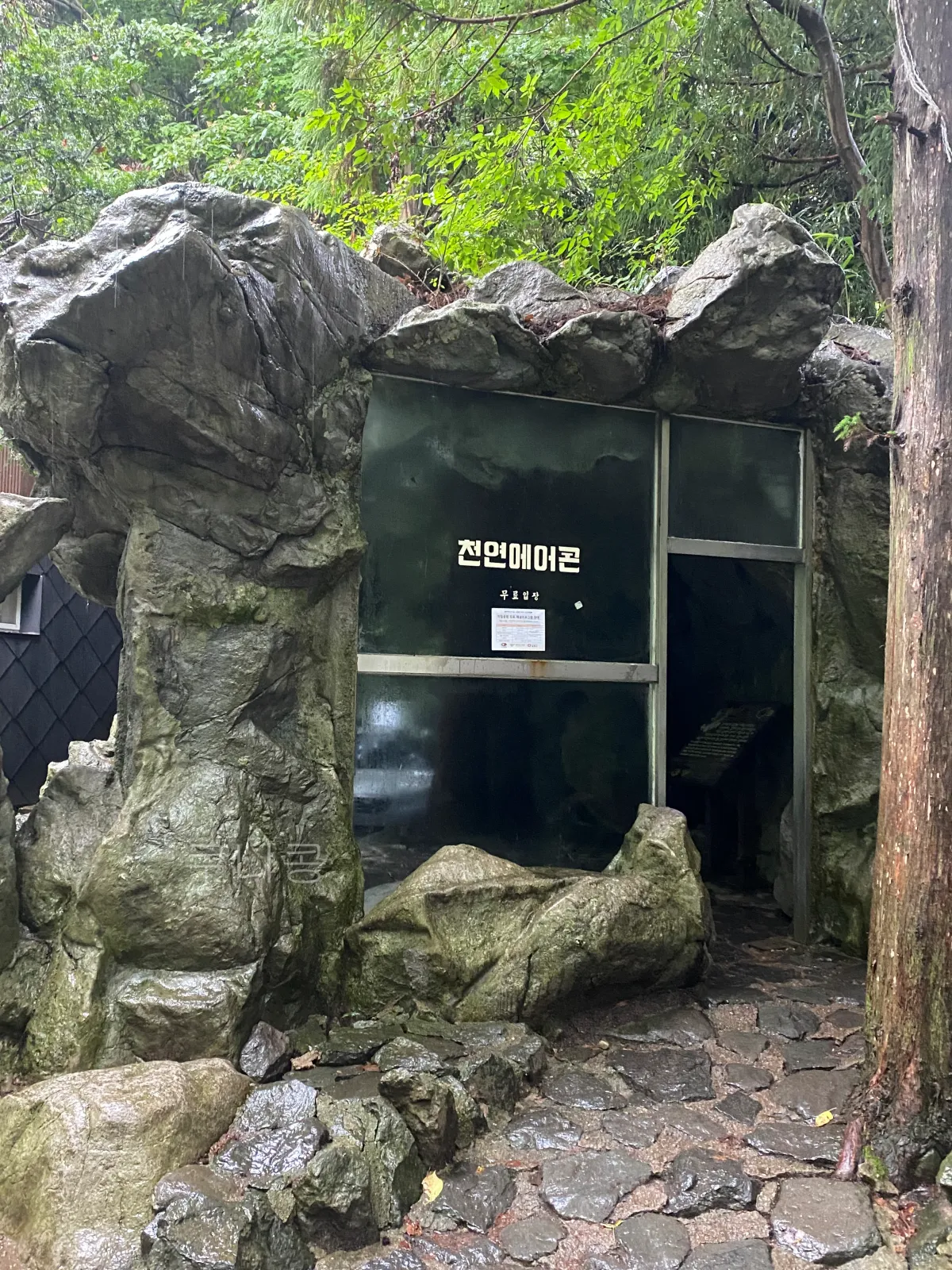 울릉도-추석가족여행-2일차-봉래폭포-입장료할인-주차정보-등산-난이도