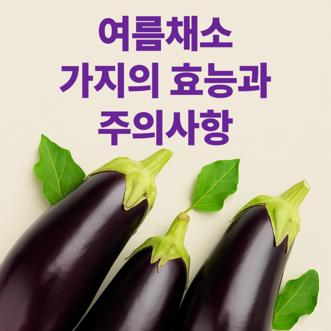 채소-가지-썸네일