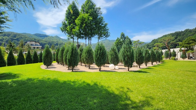 정원