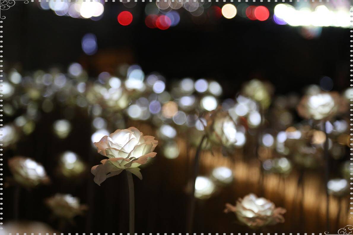 국내축제