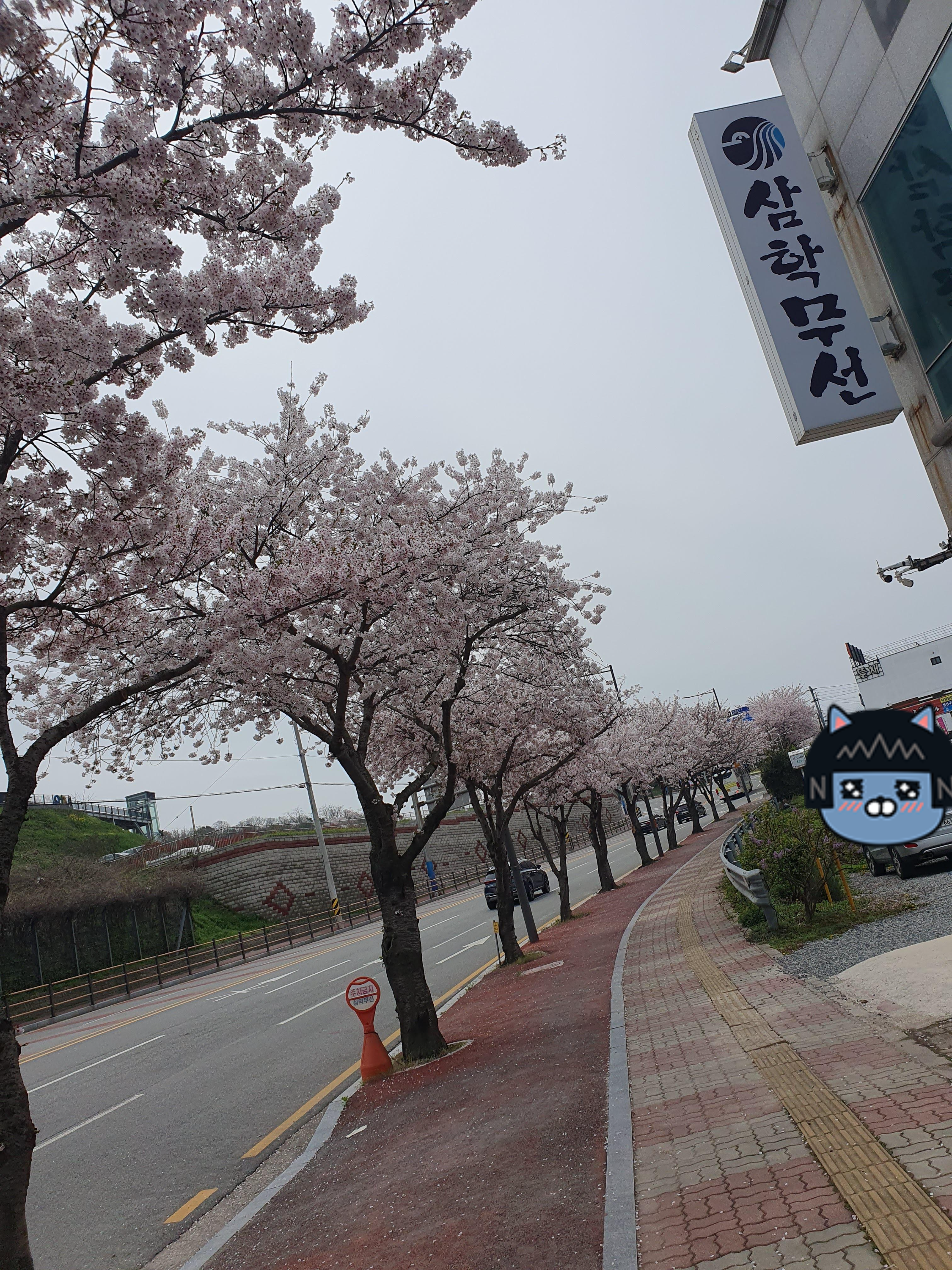 2024 유달산 봄축제