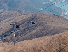 거제 파노라마 케이블카 요금