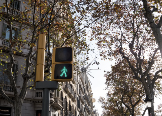 어린이보호구역 신호위반