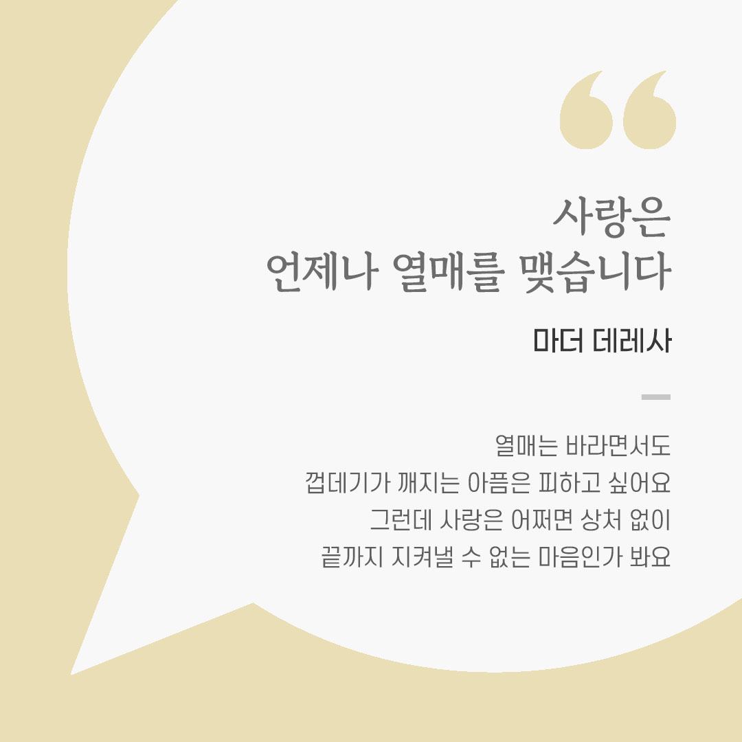 가톨릭 명언 영성글귀 이미지