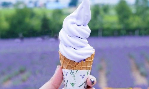 삿포로 여행 비용