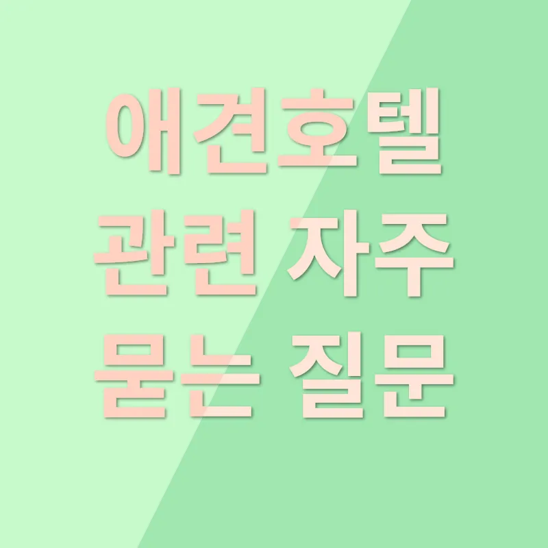 애견호텔창업_4