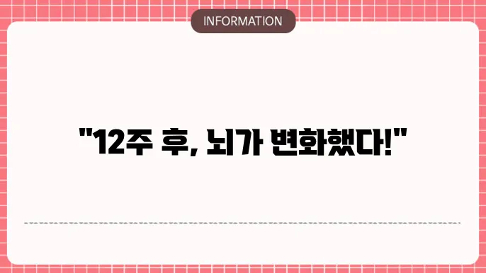 뇌영양제 12주 섭취결과