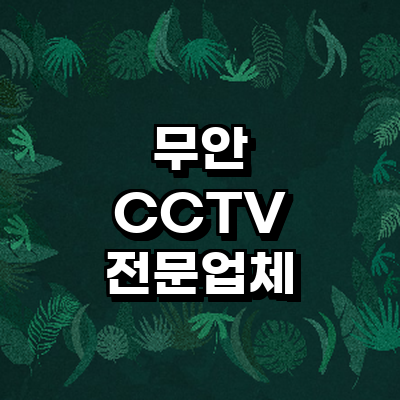 무안군 cctv