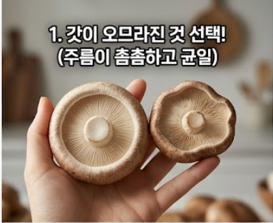 표고버섯 보관방법