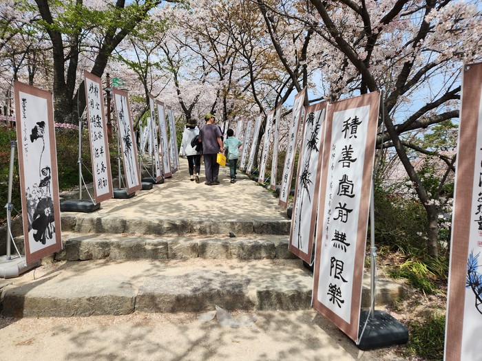 경상남도 벚꽃 나들이 명소