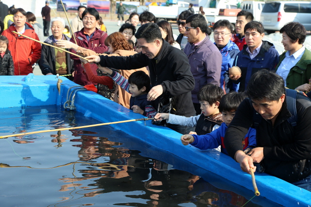 서천 동백꽃 주꾸미축제