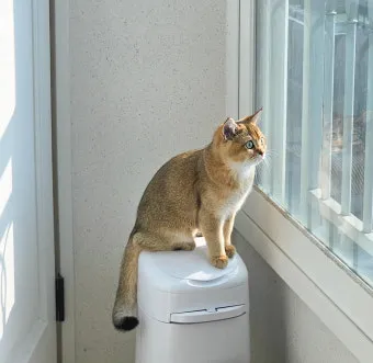 고양이 안전 방충망, 방묘창 추천_32