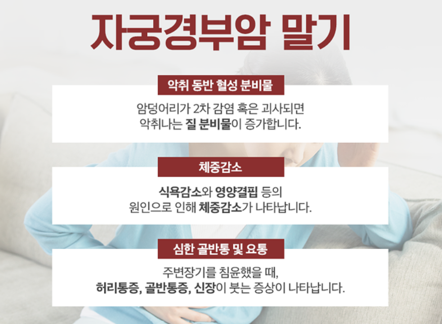 자궁경부암 예방접종 무료접종 신청하기