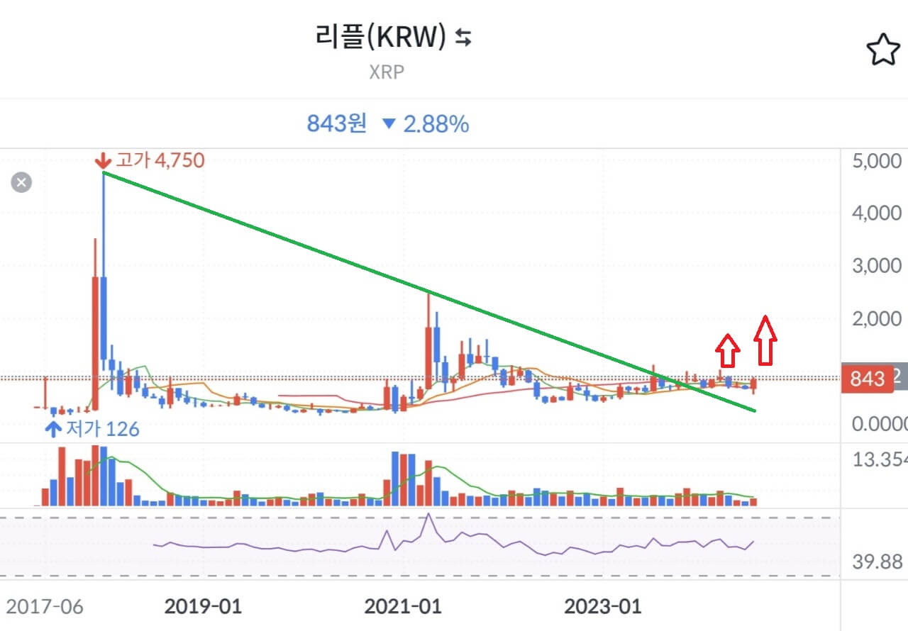 리플 시세 그래프