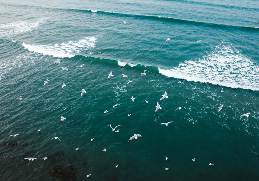 심리학의 기초: 인간 마음의 구조와 작동 원리