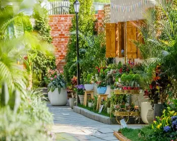 고양 꽃박람회_13