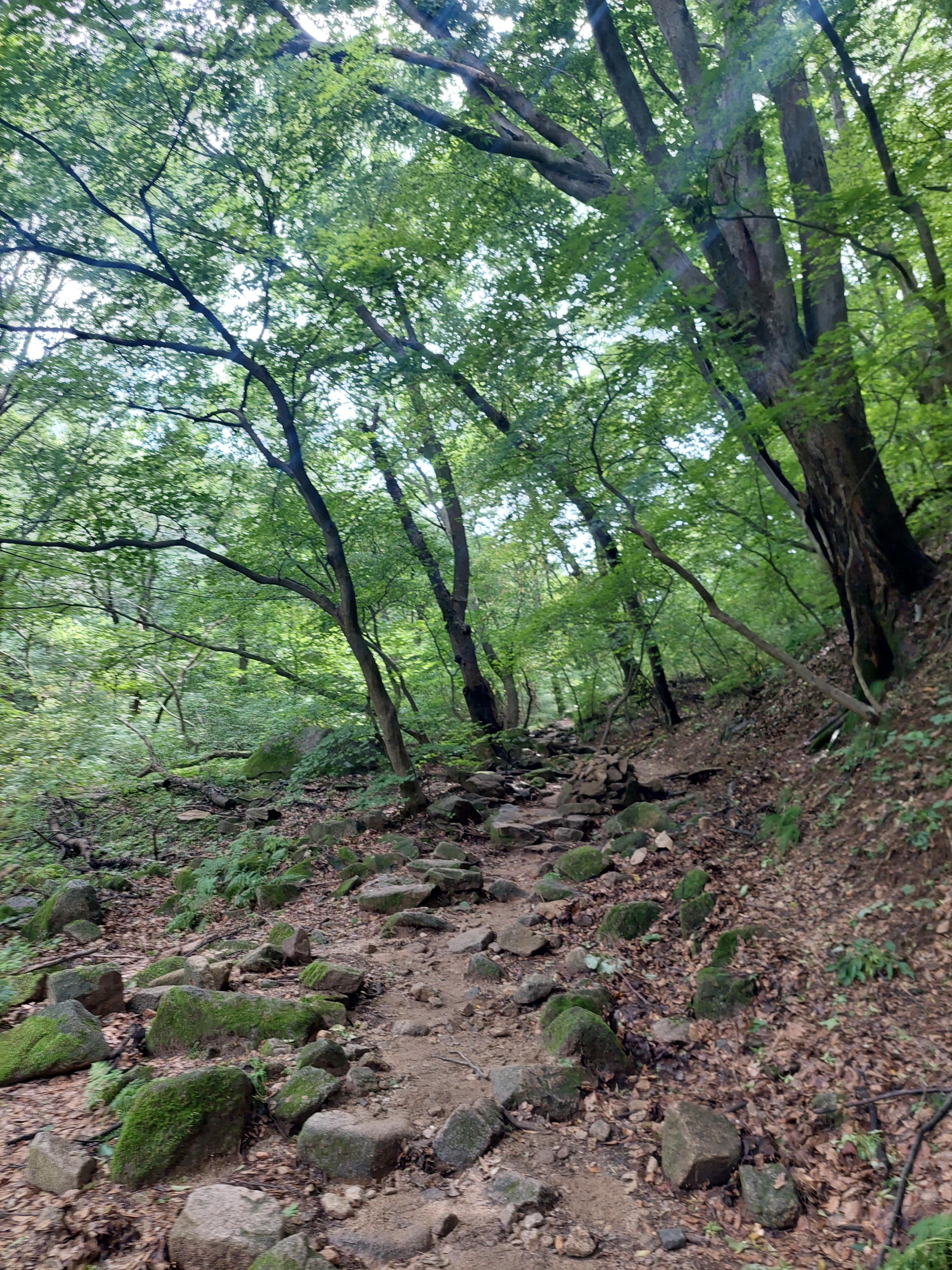 대남문