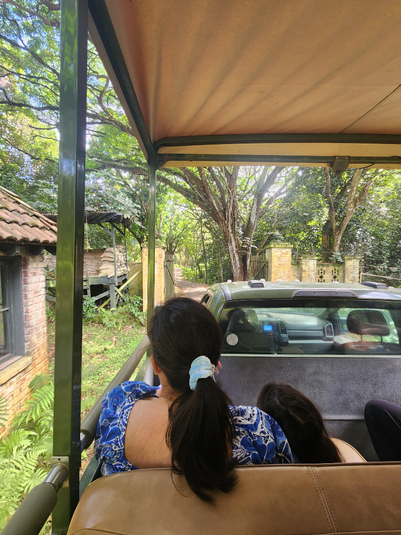 하와이 쿠알로아 랜치 익스피리언스 패키지 정글투어