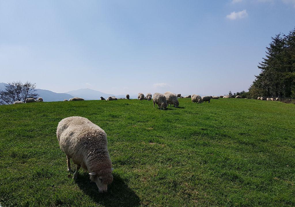 강릉 가볼만한 곳 BEST 10