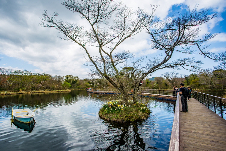 제주 에코랜드 테마파크