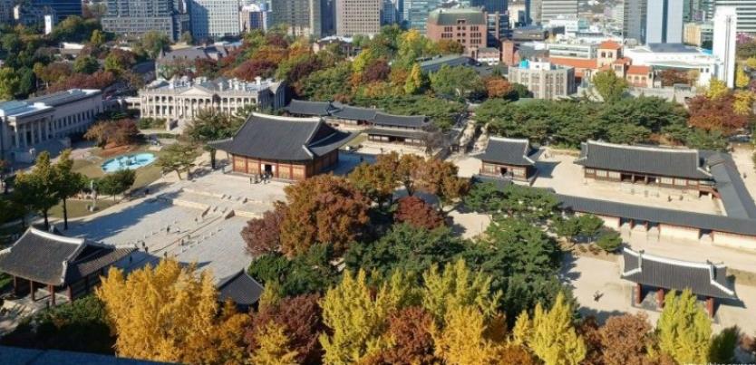 서울단풍명소 추천