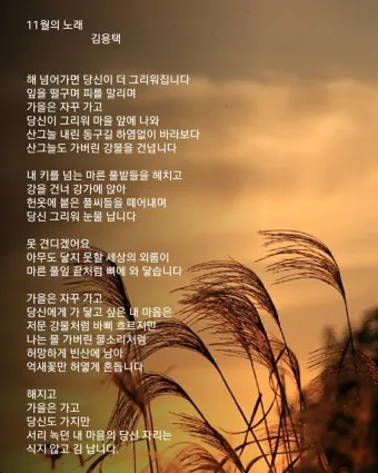 11월의 좋은 시 모음, 11월의 시_40